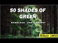 50 SHADES OF GREEN Woodland Photography #woodland #photography #nikond850 #vlog #osmopocket3