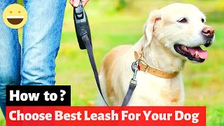 How to Pick The Best Dog Leash For Everyday Use or Training 