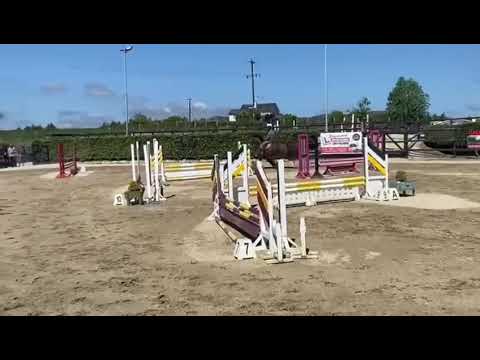 15 h cob - Image 2
