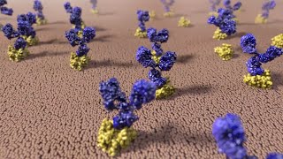 CytoDyn Leronlimab