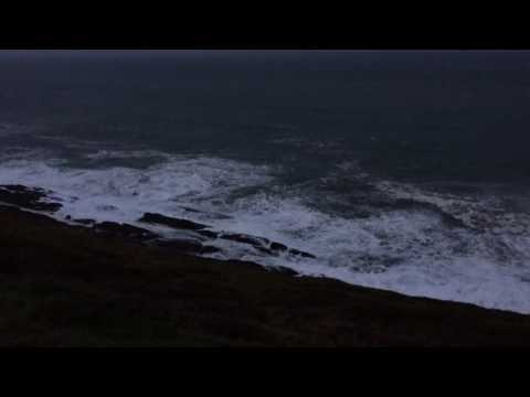 Bird On A Wire - Rogue Wave