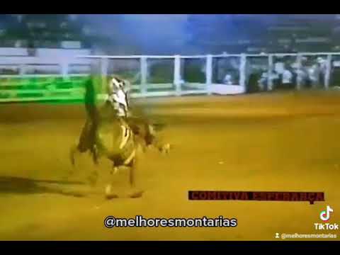 JOSÉ CARLOS DA SILVA X COMISSÁRIO - RODEIO DE NOVO HORIZONTE 1999