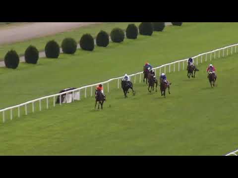 1. dostih - CENA SPOLEČNOSTI TRADE FIDES - Videozáznam Evropského poháru žokejů 2018