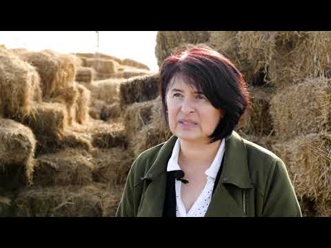 Domaćine kako radiš 18.11.2019. - Kozarstvo, Zrenjanin i Susek