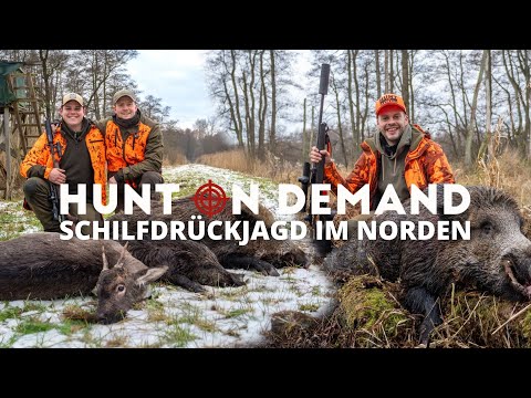 Exciting reed hunt in the north 🐗 🦌 with @feldundjagd6137 and @jagenNRW