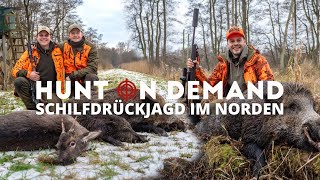 Spannende Schilfdrückjagd im Norden 🐗 🦌 mit @feldundjagd6137 und @jagenNRW