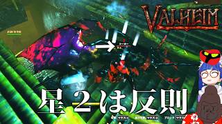 新しいとこで星２は反則やろ【Valheim】＃１０