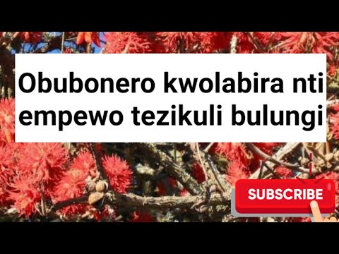 Obubonero kwoolabira nti empewo zikuluma era tezikuli bulungi