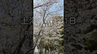 上海で生活する駐在妻の1日🌸