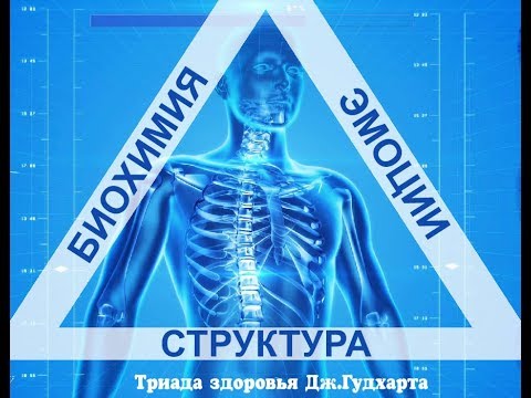 Ортезы для плечевого сустава отзывы Анатомия голеностопного сустава человека атлас бари м логан