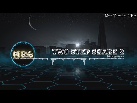 Two Step Shake 2 by Niklas Ahlström - [Electro Music]