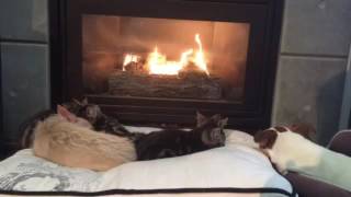 The end is worth the wait!