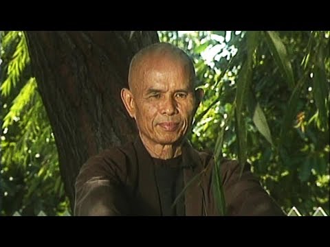 Ten Mindful Movements - Plum Village and Thich Nhat Hahn