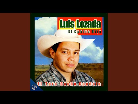 Sentimiento en el Palmar