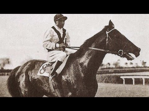 Pillole di ippica - Donatello, il vero capolavoro