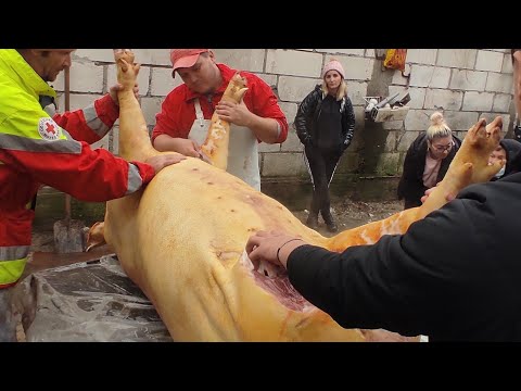 Cutting and slicing the pig