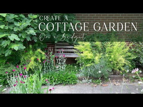Create a Dreamy Cottage Garden On A Budget | 10 Essential Strategies