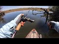 Pocket off RIVER loaded with spawning aggressive bass