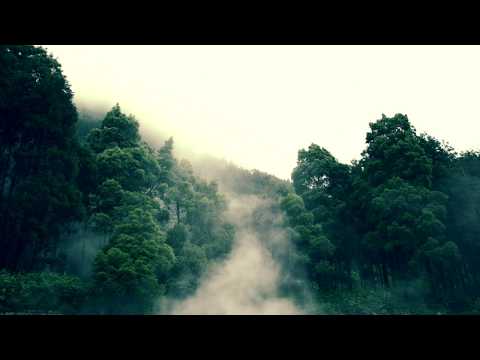 Eikona - Out of Reach