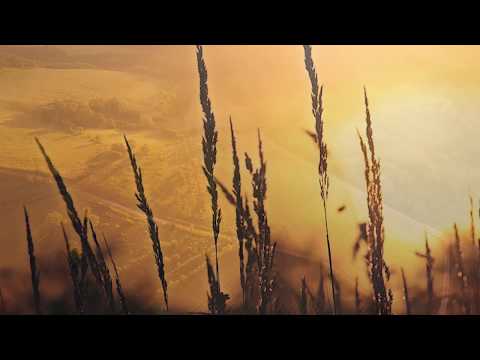 CALIN VINT - OSANA LUI ISUS