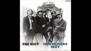 The Downliners Sect - Too Much Monkey Business