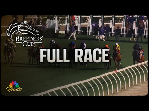 Breeders' Cup 2025: Juvenile Turf Sprint (Full Race) | NBC Sports