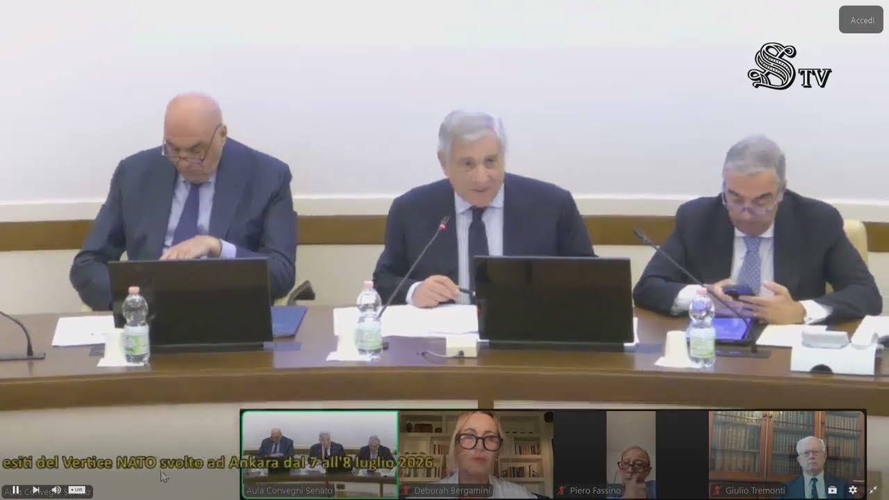 AUDIZIONE DEI MINISTRI CROSETTO E TAJANI SUGLI ESITI DEL VERTICE NATO DI ANKARA
