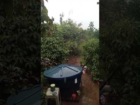 Ipupiara Bahia está lindo lindo lindo de verdade