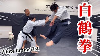 This is “Hakutsuru Ken” White Crane Fist
