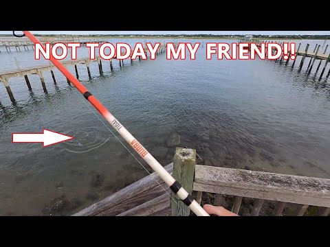 Land Based Giants, Topsail Beach, N.C