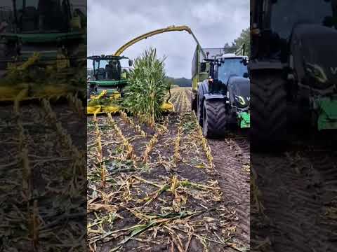 Epic Corn Cutting Machine in Full Action #farming #agriculture #heavymachinery #skills #shorts