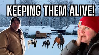 PREPARING for the BLIZZARD of 2025! Saving Our Chickens from Extreme Cold!