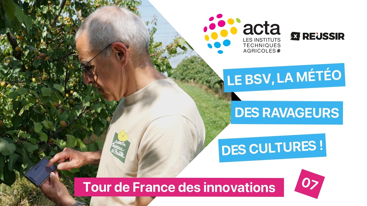 Le BSV, la météo des ravageurs  des cultures !