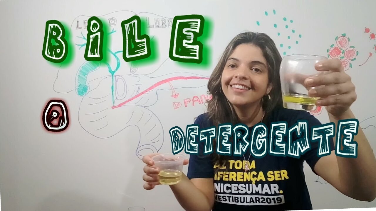 Produção e Função da #Bile  - *Via de eliminação no intestino*