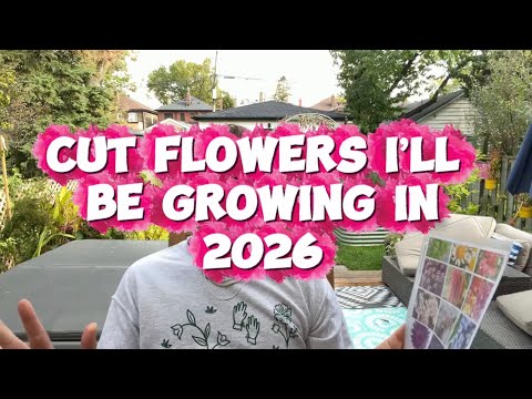 Cut Flowers For 2026