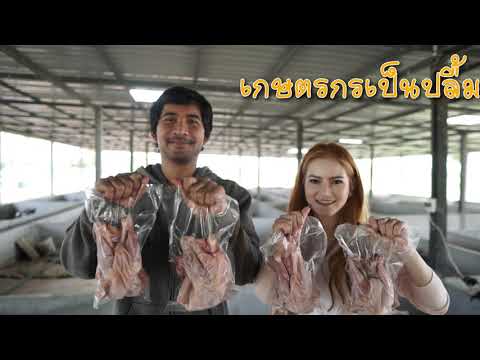 Product - KKU1 Premium Chicken