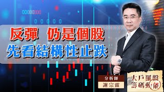 反彈  仍是個股先看結構性止跌｜大戶羅盤籌碼動能 ｜謝宗霖 (圖)