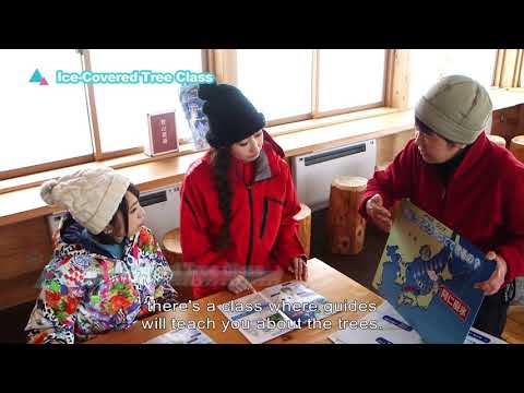 Ice-Covered Tree Class 90sec Ver.（English subtitles）