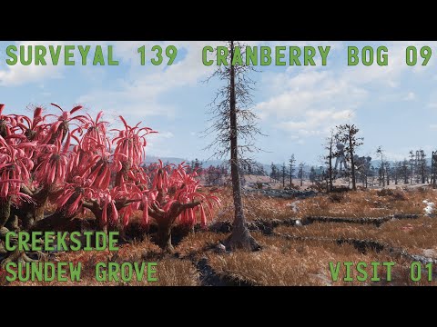 Fallout 76 Surveyal Project 139 - Cranberry Bog 09 - Creekside Sundew Grove