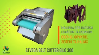Нарізка слайсами, кубиками кабачкків, огірків, перцю vegetable cutting machine for sale - Image 11 | Machineryline NG New Нарізка слайсами, кубиками кабачкків, огірків, перцю vegetable cutting machine | Image 11 - Machineryline