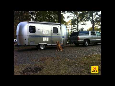 Frankenstream Lieferung