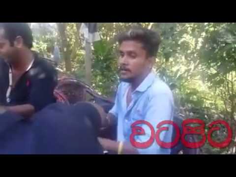 Asai Bayai Bottuwe Namai / Anton Jones (saura bala)