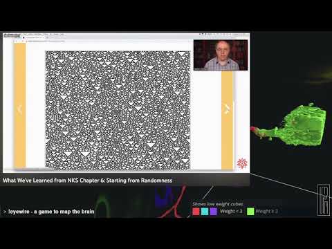 Stephen Wolfram - What We've Learned from NKS Chapter 6: Starting from Randomness