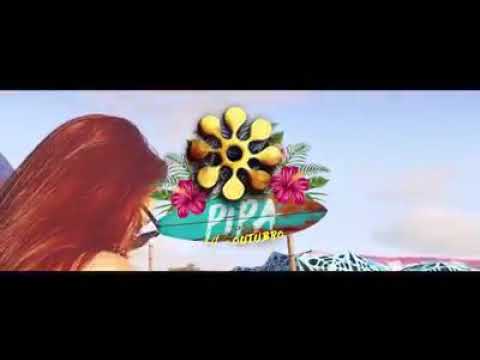Liquid Sky , Pipa Open Air Video DJs 2017