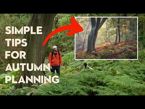 How I get ready for Autumn Photography + Woodland Composition Tips
