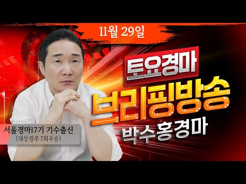 11월29일 토요일 박수홍의 분석 방송