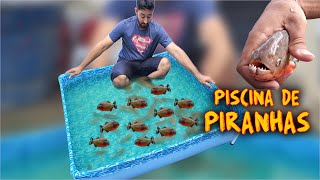 ENTREI NUMA PISCINA CHEIA DE PIRANHAS