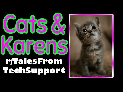 r/TalesFromTechSupport - CUTE CATS & CRAZY KARENS | Funny Reddit Stories