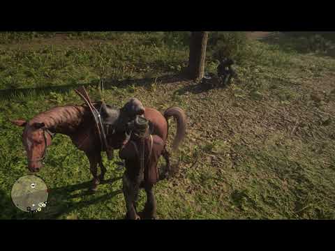 Red Dead Redemption 2 GamePlay Part 32 PlayStation 4 Walkthrough