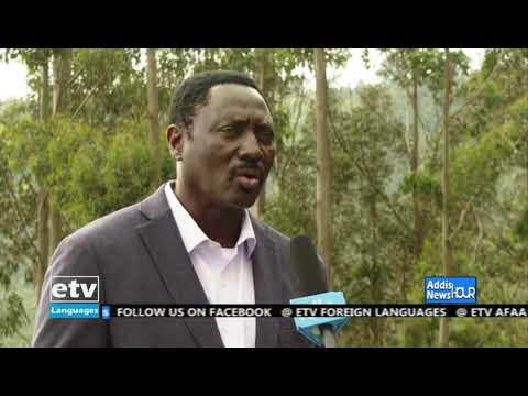 English Evening News ... October 17/2021